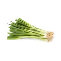 Green Onions (Scallions)