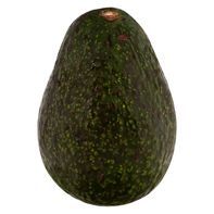 Hass Avocado