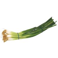 Green Onions (Scallions)