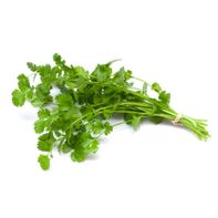 Organic Cilantro