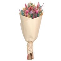 Ashland Large Dried Botanical Mix Bundle