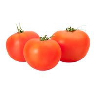 Roma Tomato