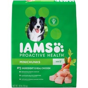 iams dachshund