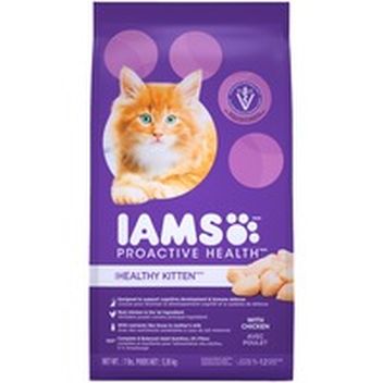 kitten diapers petco