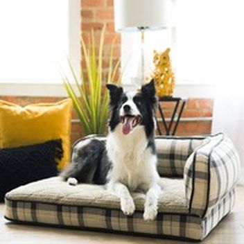 harmony grey nester orthopedic dog bed