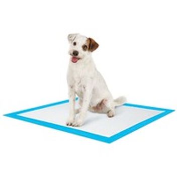 pooch pads petco