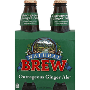 Natural Brew Ginger Ale Outrageous 12 Oz Instacart