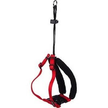 petco dog harness