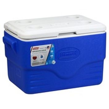cvs ice chest