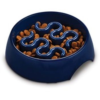 harmony slow feeder dog bowl