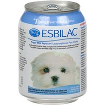 esbilac powder walmart