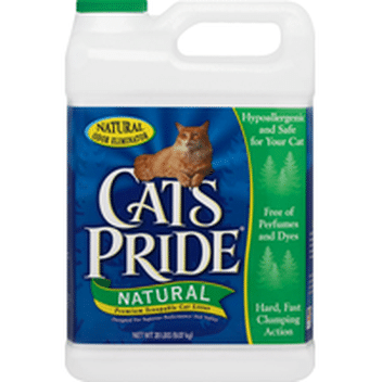 free cat scratching post