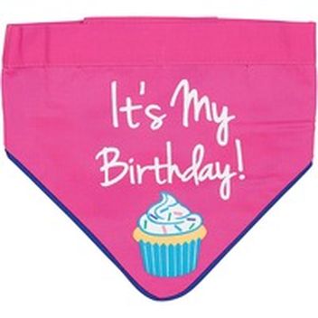 dog birthday hat petco