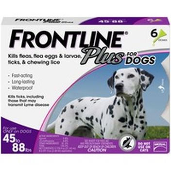 frontline pregnant dog