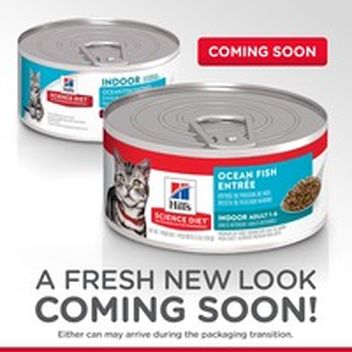 science diet ocean fish entree