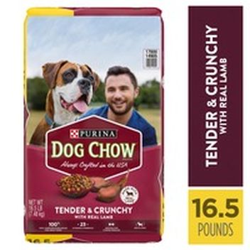 crave dog food target