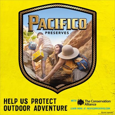 Pacifico Clara Mexican Lager Beer Bottles