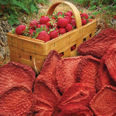 Brothers All Natural Freeze-Dried Strawberry Fruit Crisps