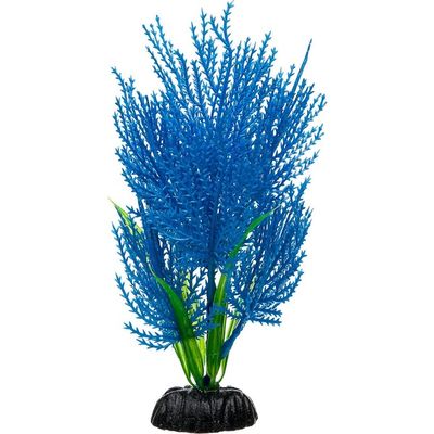 Petco Blue Hairgrass Foreground Aquarium Plant