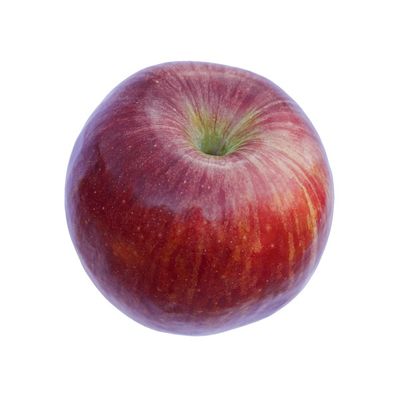 Organic Stayman Apple