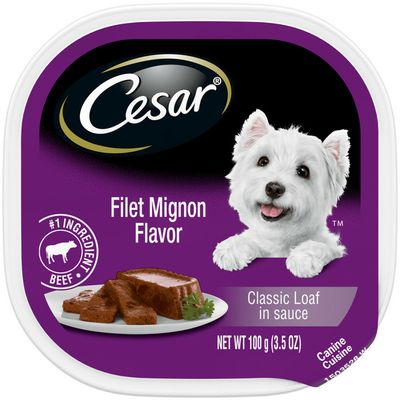 CESAR Soft Wet Dog Food Classic Loaf in Sauce Filet Mignon Flavor