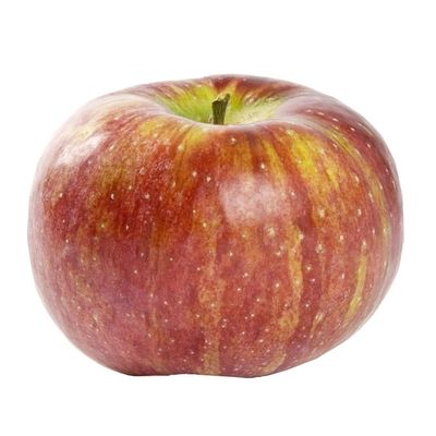 Apples From New York Cortland Apples