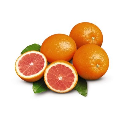 Bagged Cara Cara Oranges
