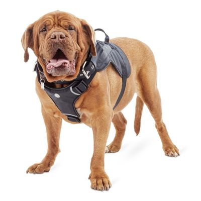 Good2 Go Extra Extra Large to Extra Extra Extra Large Big Dog Adjustable Harness