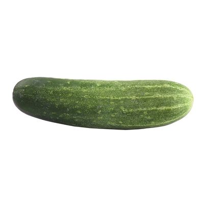 TomLine Farms Cucumbers, Long English
