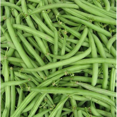 Organic French Green Beans