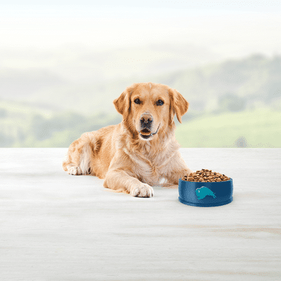 Blue Buffalo Life Protection Formula Natural Adult Dry Dog Food, Chicken and Brown Rice