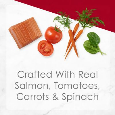 Fancy Feast Wet Cat Food, Medleys Wild Salmon Primavera With Garden Veggies & Greens in Sauce