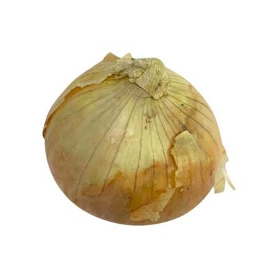 Organic Red Onion