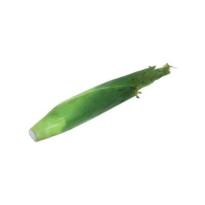 Sweet Corn
