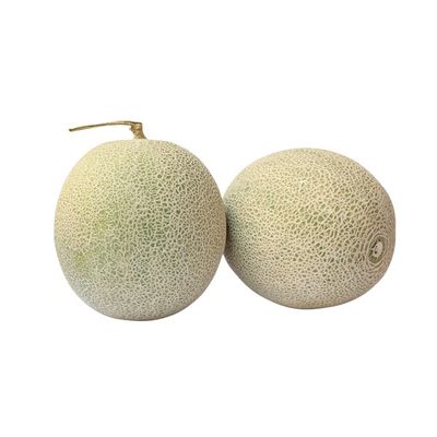 Cantaloupe Melon