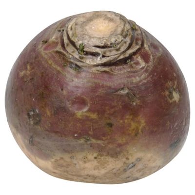 Rutabaga