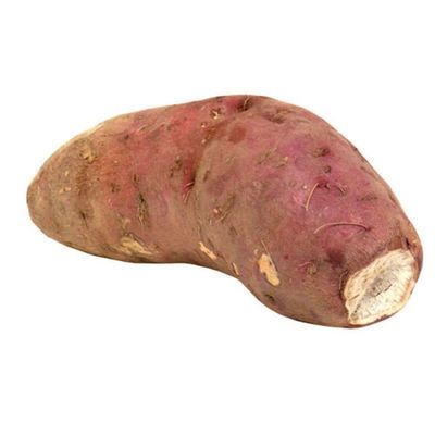 Boniato White Sweet Potato