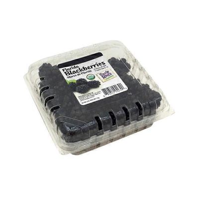 Florida Blackberries