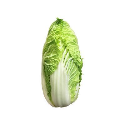 Napa Cabbage