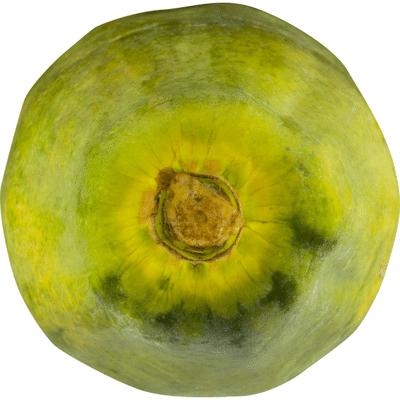 Caribbean Red Maradol Papaya