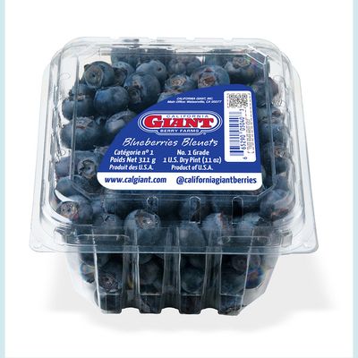 California Giant Blueberries
