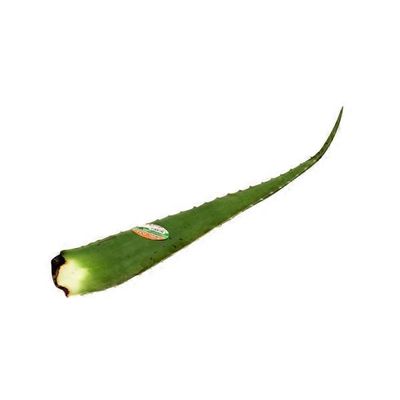 Big Tree Farms Aloe Vera