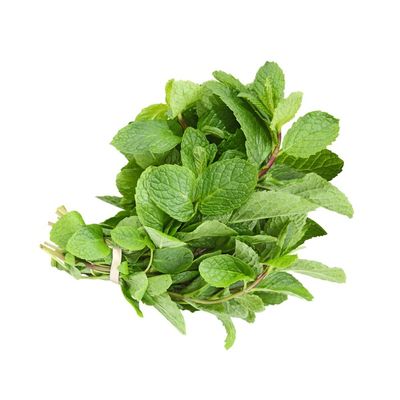 Mint