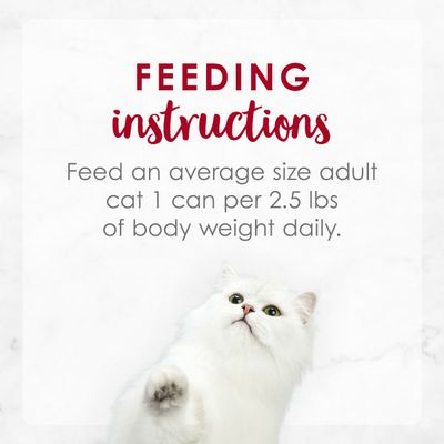 Fancy Feast Wet Cat Food, Medleys Wild Salmon Primavera With Garden Veggies & Greens in Sauce