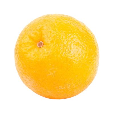 Organic Navel Orange