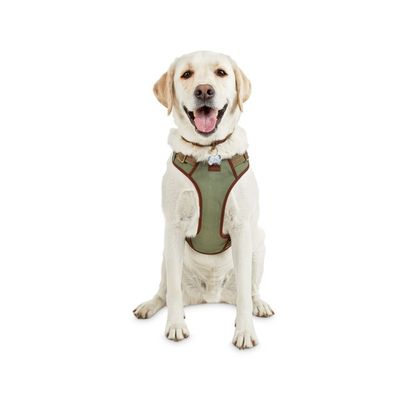 Redy Extra Large-Extra Extra Large Green Dog Harness
