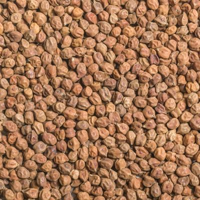 Organic Black Garbanzo Beans