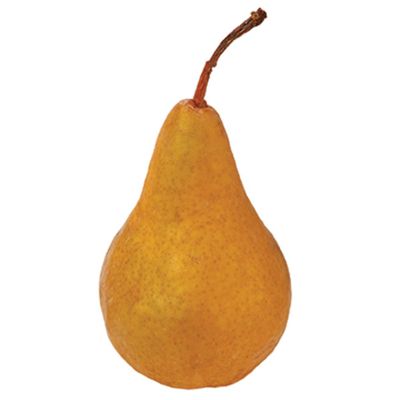 Bosc Pear