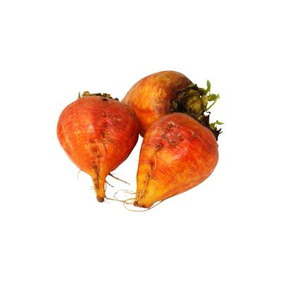 Organic Gold Beet