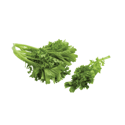Organic Mustard Greens (Gai Choy)